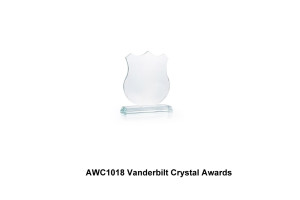 AWC1018-Vanderbilt-Crystal-Awards
