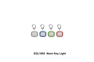 EGL1002--Neon-Key-Light