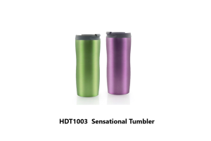 HDT1003 Sensational Tumbler