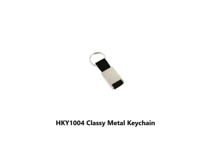HKY1004 Classy Metal Keychain