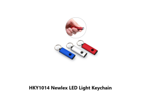 HKY1014 Newlex LED Light Keychain