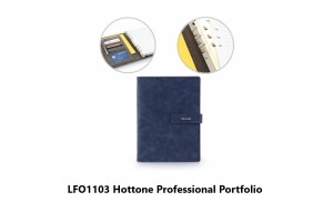 LFO1103 Hottone Professional Portfolio